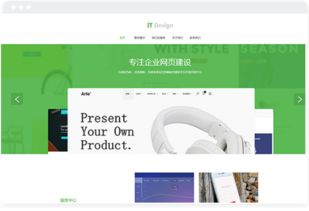 it公司行業(yè)網(wǎng)站建設(shè)模版 長(zhǎng)沙網(wǎng)站設(shè)計(jì)制作